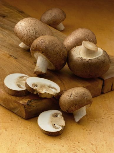 Mushrooms, Good To Eat, Good for You!